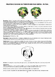 610 LES INSIGNES DE L ALAT EN AFN PAR CHRISTIAN MALCROS_000052